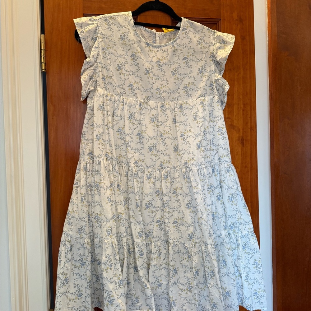 Floral Blue and White Dress